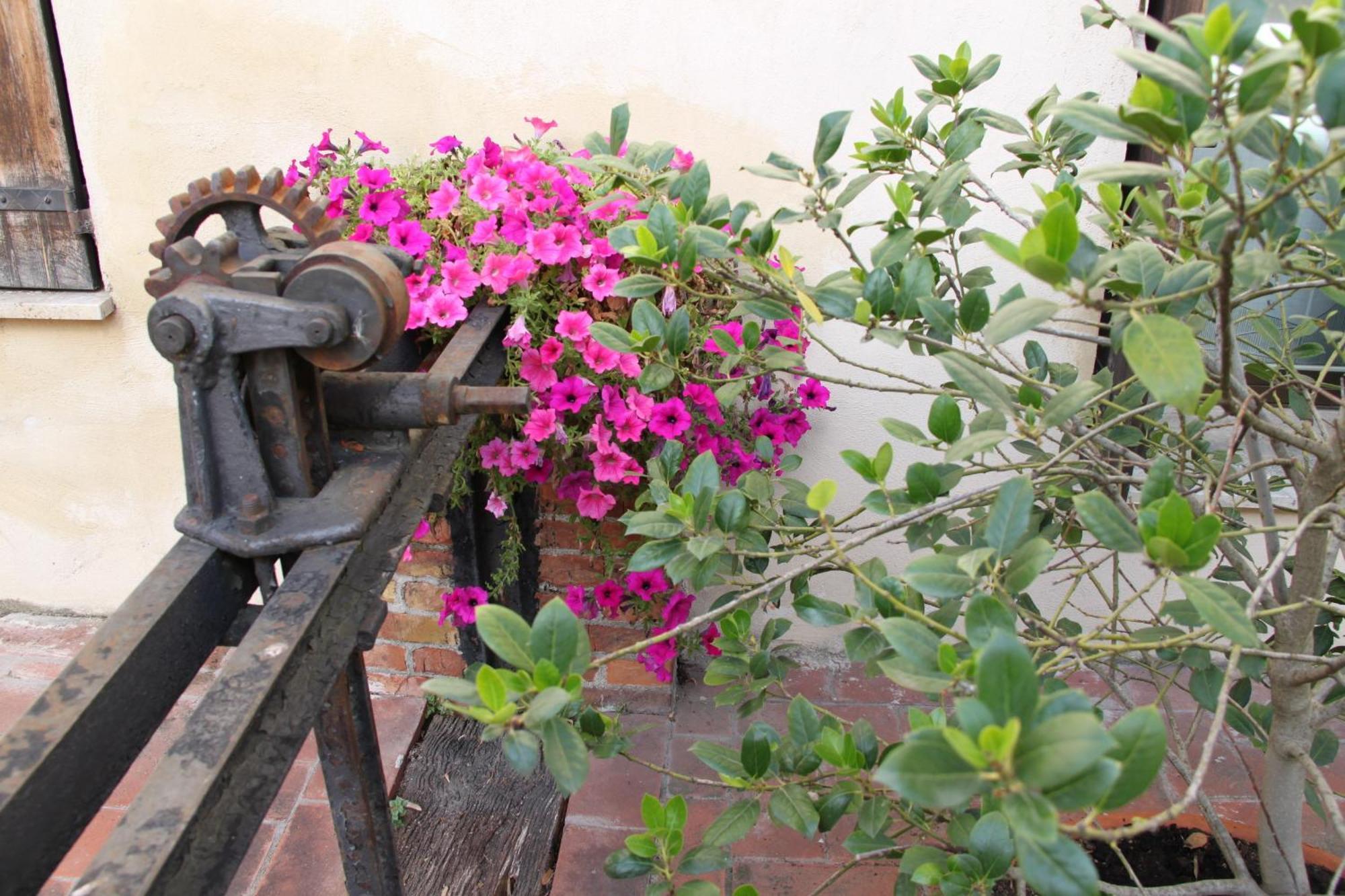 La Vecchia Cartiera Otel Colle Val D'Elsa Dış mekan fotoğraf
